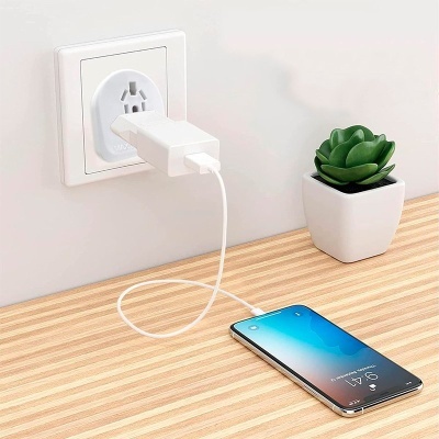 Carregador USB branco ligado a tomada, telemóvel e vaso com planta suculenta