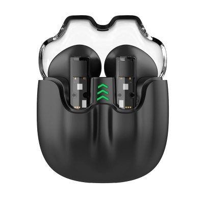 Estojo de carregamento preto com dois auriculares e tampa transparente