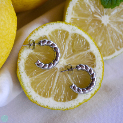 Brincos de argola prateados sobre fatia de limão
