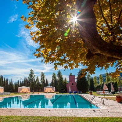 Piscina exterior com espreguiçadeiras e toldos em relvado e árvores