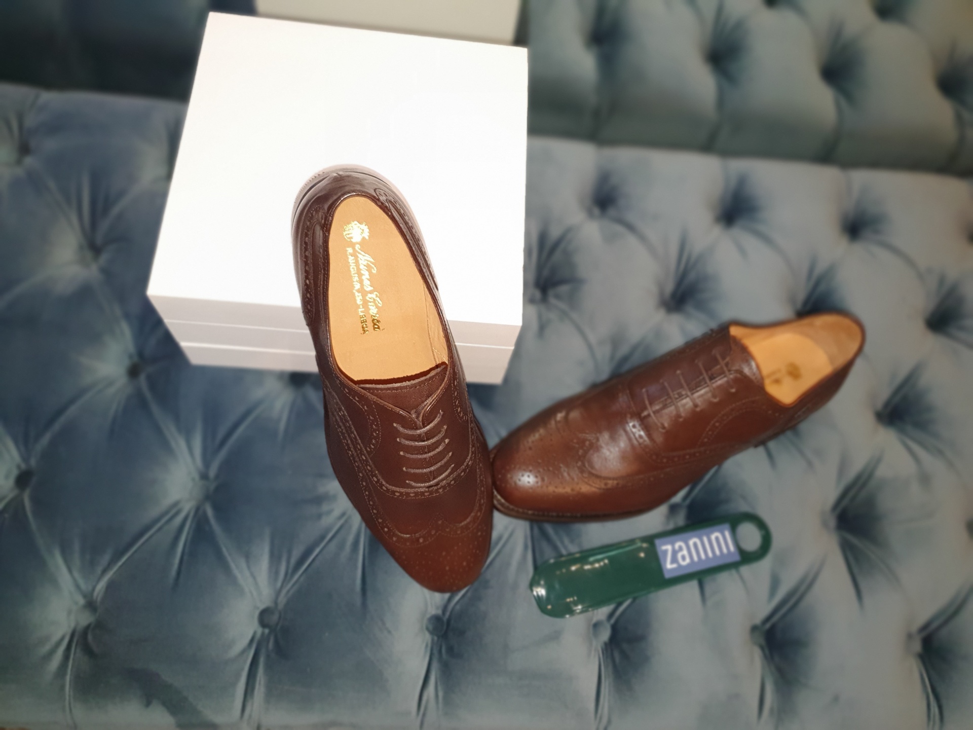 OXFORD WING TIP CASTANHO Sapatos masculinos de pele castanha com padrão perfurado sobre um sofá azul acolchoado