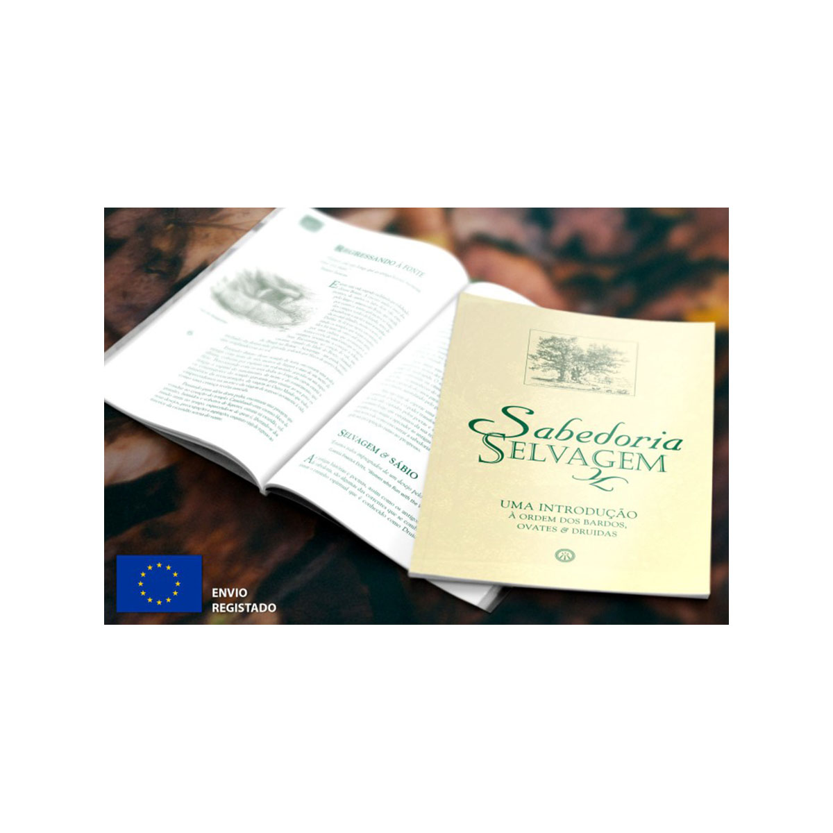 Conjunto Introdutório (Resto da Europa - Envio Registado) Conjunto Introdutório (Resto da Europa - Envio Registado)