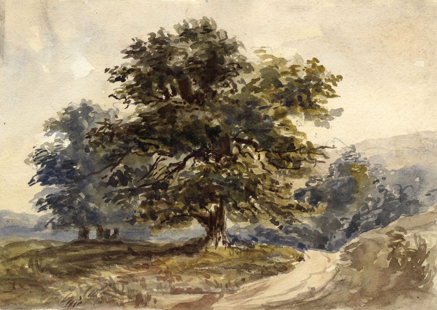 O "Movimento Metafísico de Ecologia" de António Telmo