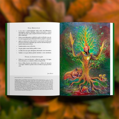 Drusuna - Agenda Druídica 2025