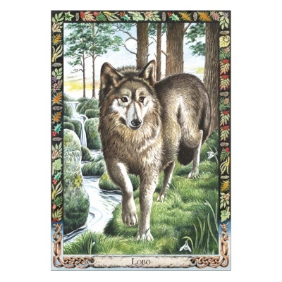 https://www.zefiro.pt/product/o-oraculo-animal-dos-druidas