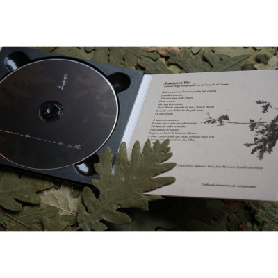 As Árvores Estão Secas e Não Têm Folhas