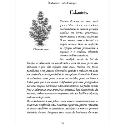 O Feitiço das Aromáticas na Cozinha Celto-Mediterrânica O Feitiço das Aromáticas na Cozinha Celto-Mediterrânica