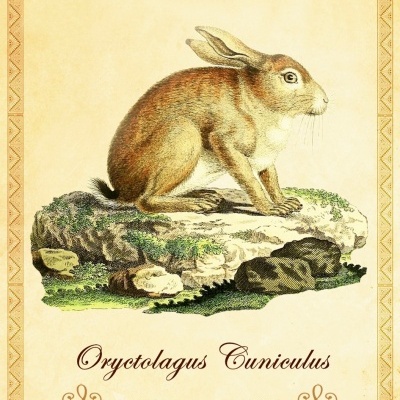 Oráculo dos Animais da Península Ibérica