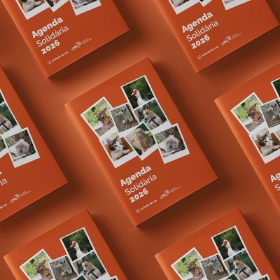 Agenda Solidária 2026 - Animais de Rua