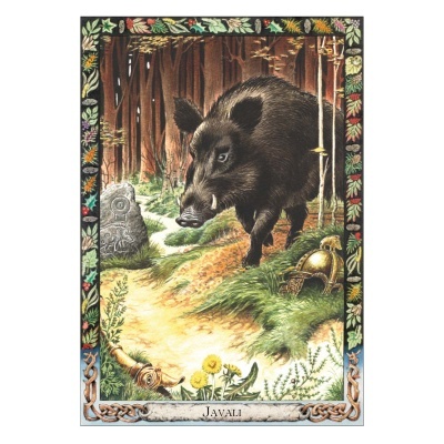 O Oráculo Animal dos Druidas