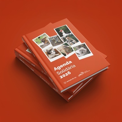 Agenda Solidária 2026 - Animais de Rua