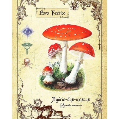 https://www.zefiro.pt/product/oraculo-das-plantas-magicas-ibericas