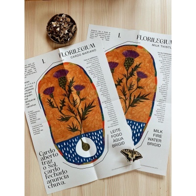 Florilegium - Cardo Mariano