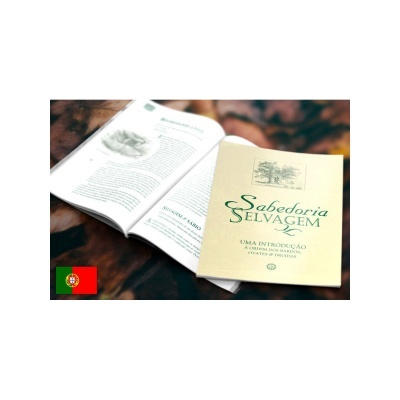 Conjunto Introdutório (Portugal - Envio Normal)