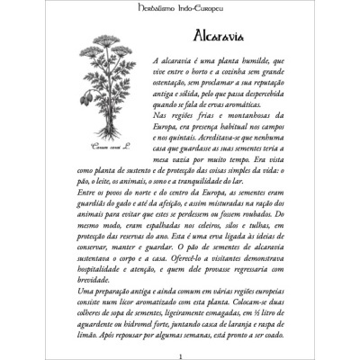 O Feitiço das Aromáticas na Cozinha Celto-Mediterrânica O Feitiço das Aromáticas na Cozinha Celto-Mediterrânica