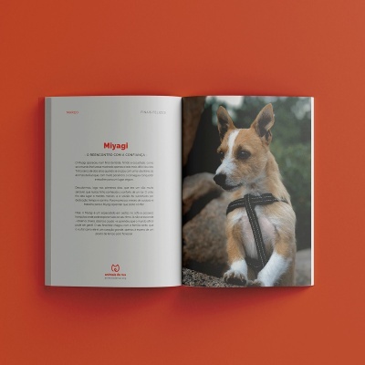 Agenda Solidária 2026 - Animais de Rua