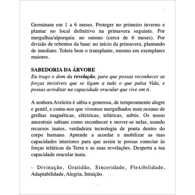 Oráculo das Árvores de Portugal Oráculo das Árvores de Portugal