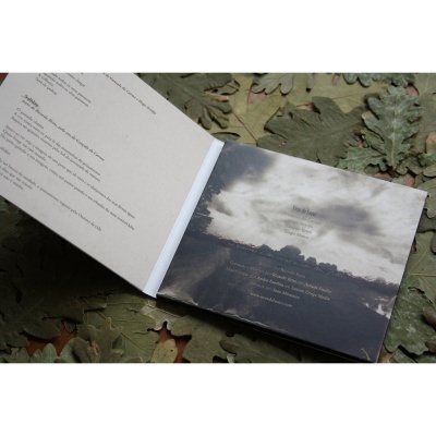 As Árvores Estão Secas e Não Têm Folhas