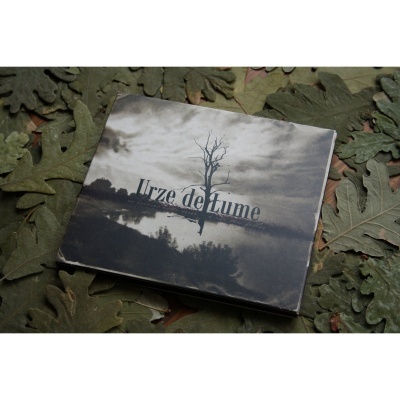 As Árvores Estão Secas e Não Têm Folhas