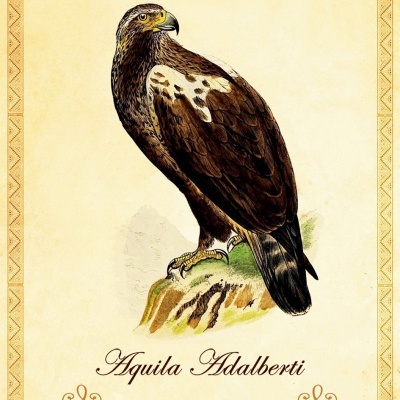 Oráculo dos Animais da Península Ibérica