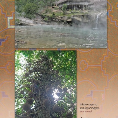 Ayahuasca - Da Serpente ao Jaguar