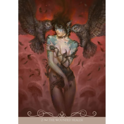 https://www.zefiro.pt/product/night-fairies-oracle-cards