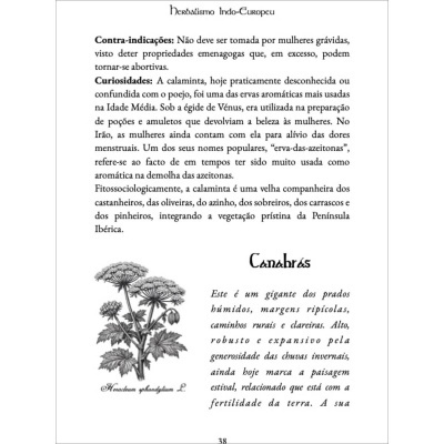 O Feitiço das Aromáticas na Cozinha Celto-Mediterrânica O Feitiço das Aromáticas na Cozinha Celto-Mediterrânica