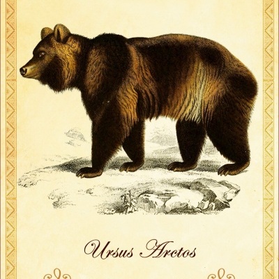 Oráculo dos Animais da Península Ibérica