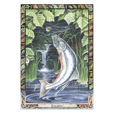 O Oráculo Animal dos Druidas