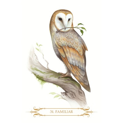 A Compendium of Witches Oracle