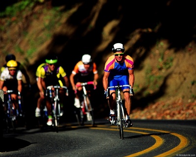 Cinco ciclistas a pedalar numa estrada alcatroada com linha dupla amarela, rodeada por vegetação e rochas